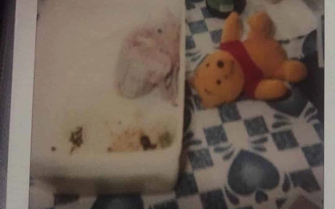 Here’s some baby pics of Boo (and a few with me) before I brought him home
