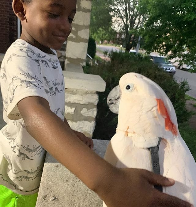 Misha and his new friend