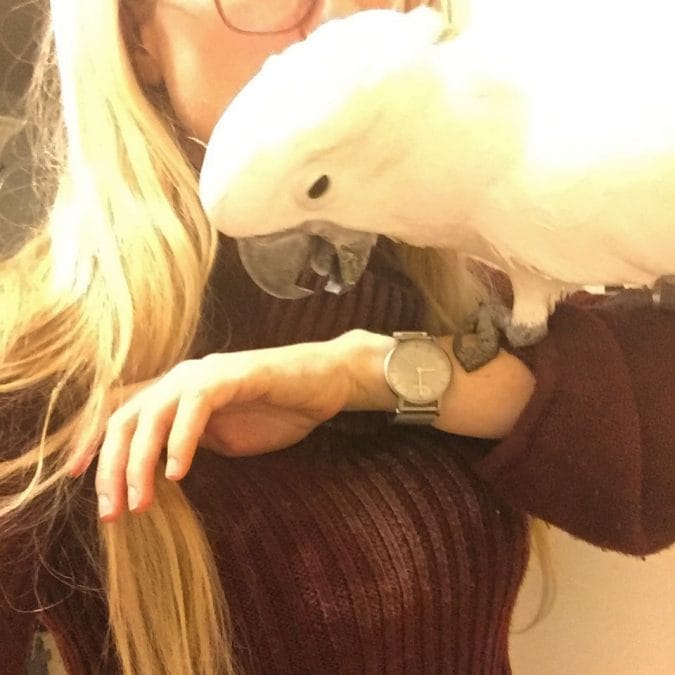 I hugged Misha and got a cockatoo sized dust print on my top. He clearly thinks it’s hilarious