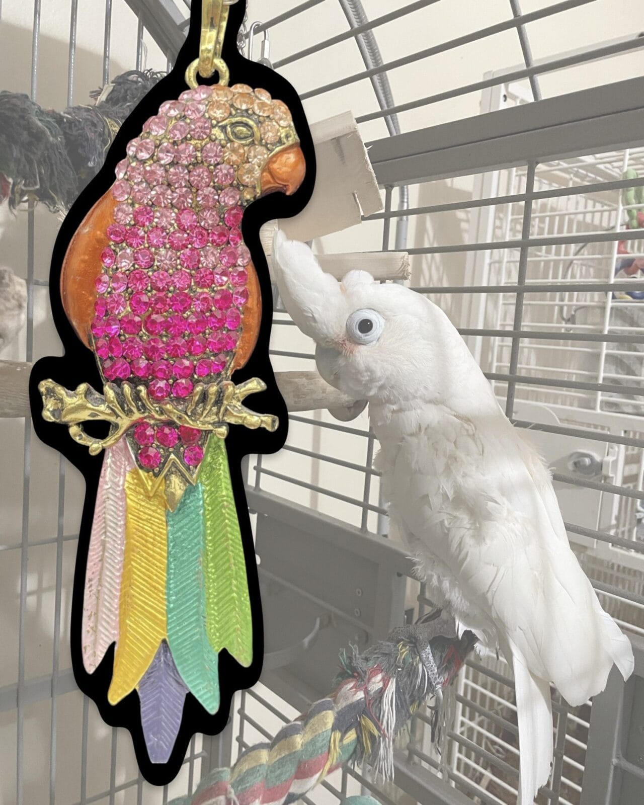 Sparkling Pink Parrot Pendant Close-Up