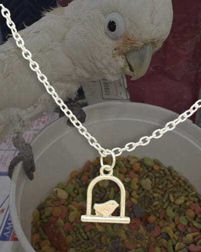 Classic Silver Bird Necklace