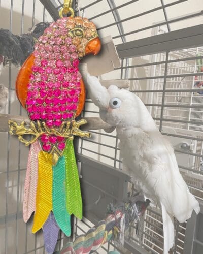 Sparkling Pink Parrot Pendant Close-Up