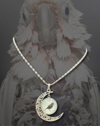 bird themed jewelry - raven